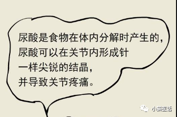 散,減味竹葉石膏湯,桂枝芍藥知母湯,瓜蔞瞿麥丸均可內服臨證治療加減