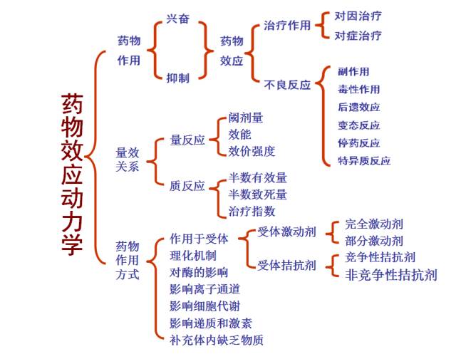 受体理论与药物效应动力学