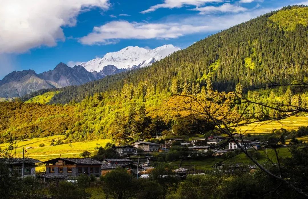 惊爆价3999元幻彩西藏61鲁朗藏秋包列带您欣赏中国最美秋天