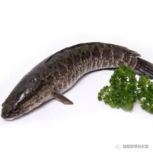 黑鱼 12.90元/500g