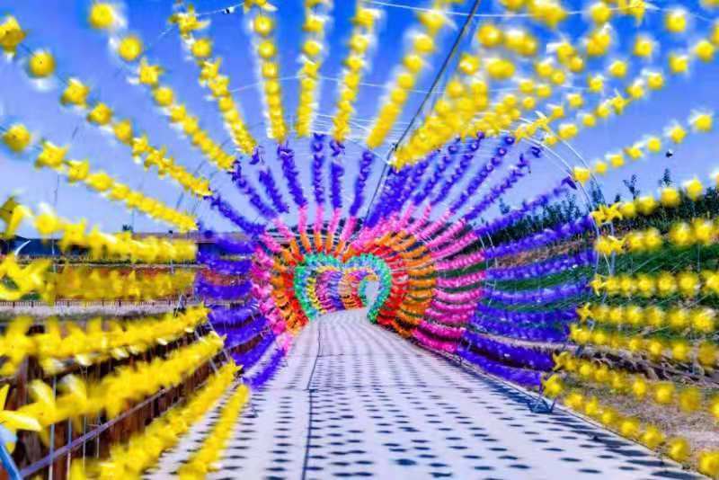 快讯七彩绥中等企业入驻绥中县首届农民丰收节