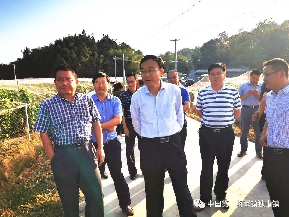 合肥市政府副市长王民生赴独山镇调研县域结对帮扶工作