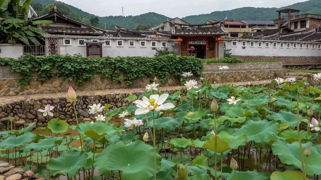 尤溪半山村简介图片