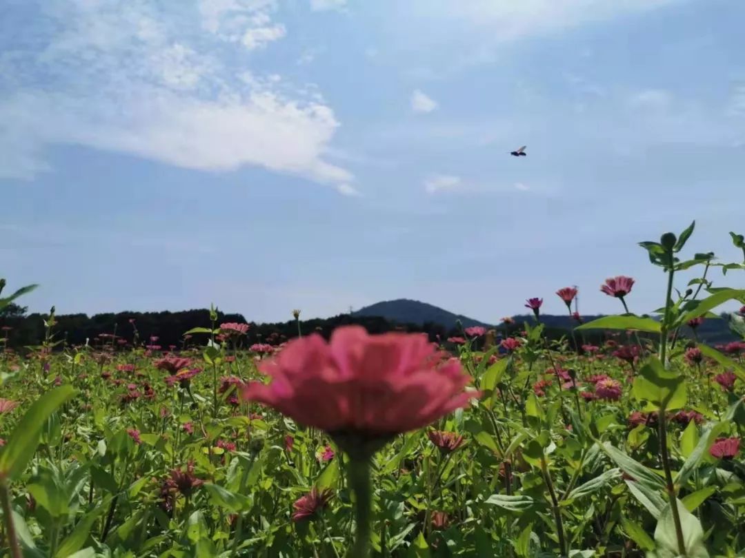 就在10月1日繁昌花溪谷开园芜湖人自驾游多了个好去处