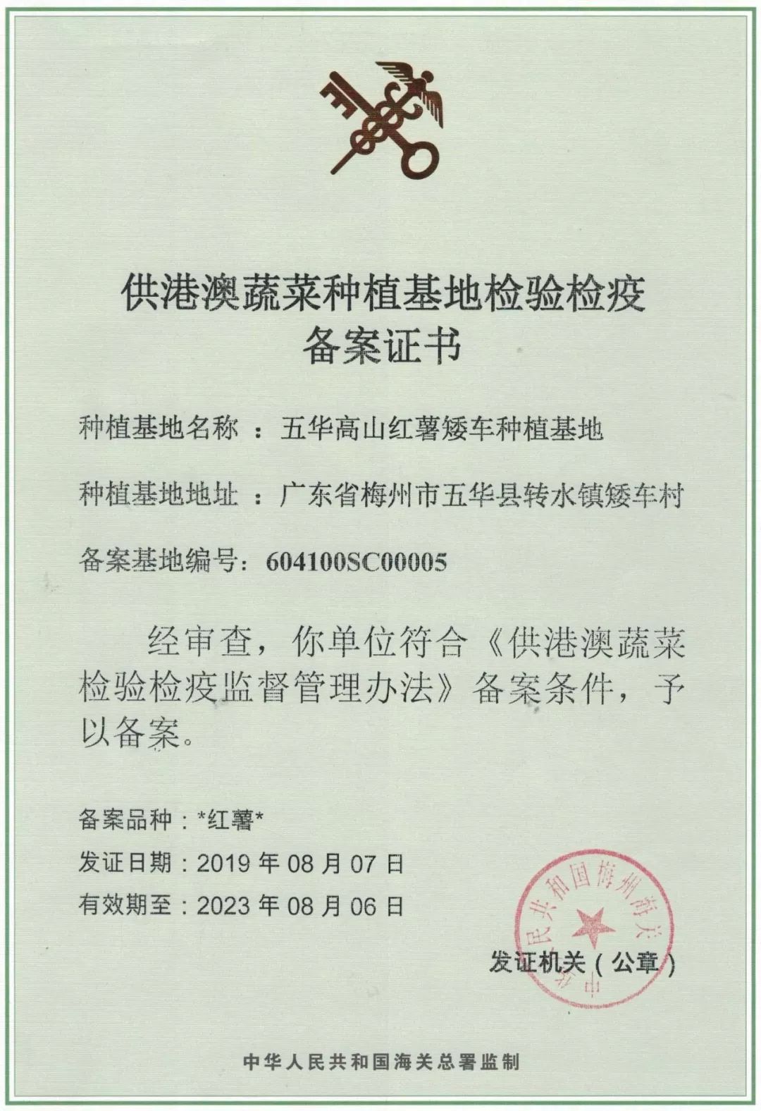 五华红薯产业——魅力新名片_发展