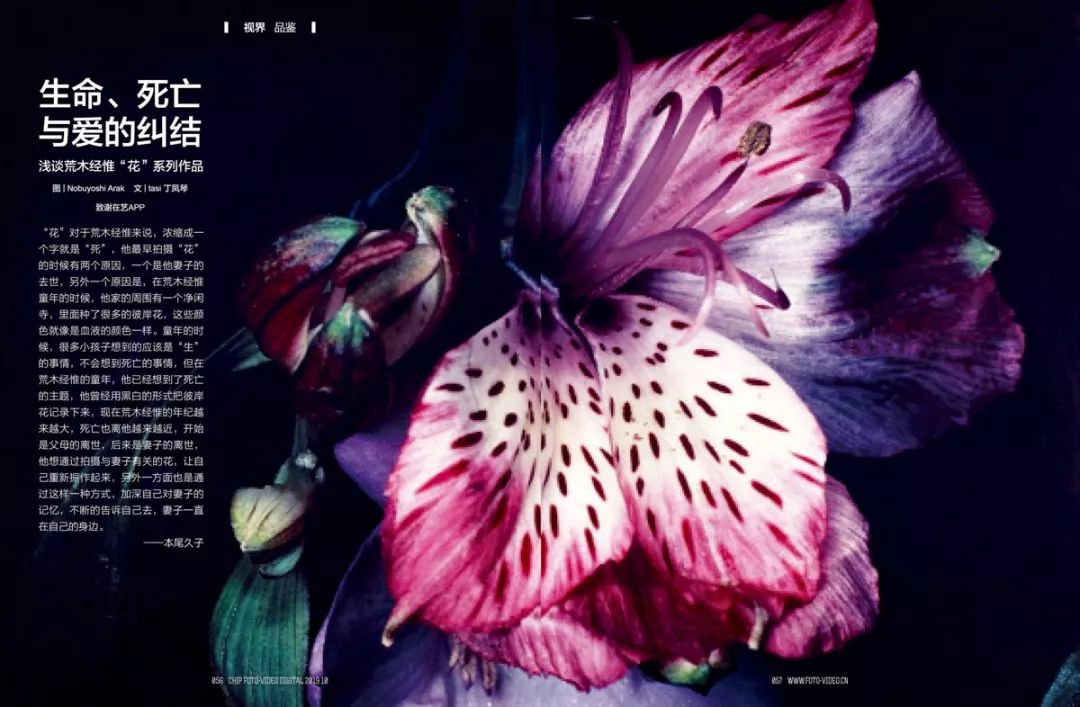 里斯·鲁盖特在吕西安的故乡法国阿尔勒所共同创办的一个国际性的摄影