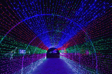 451_300gif 动态图 动图