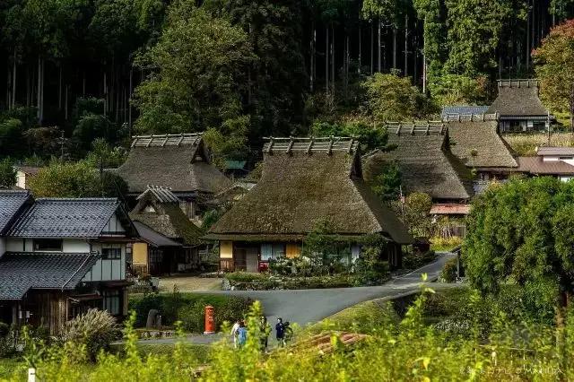 日本的 茅草屋之乡 美山 町火了 居然每年有近七千万人次前来参观 行业热点 奇点智库 奇点智库地产官网 奇点智库地产培训 全产业链解决方案 商业地产 田园综合体 养老地产 特色小镇 农场农庄 酒店领域