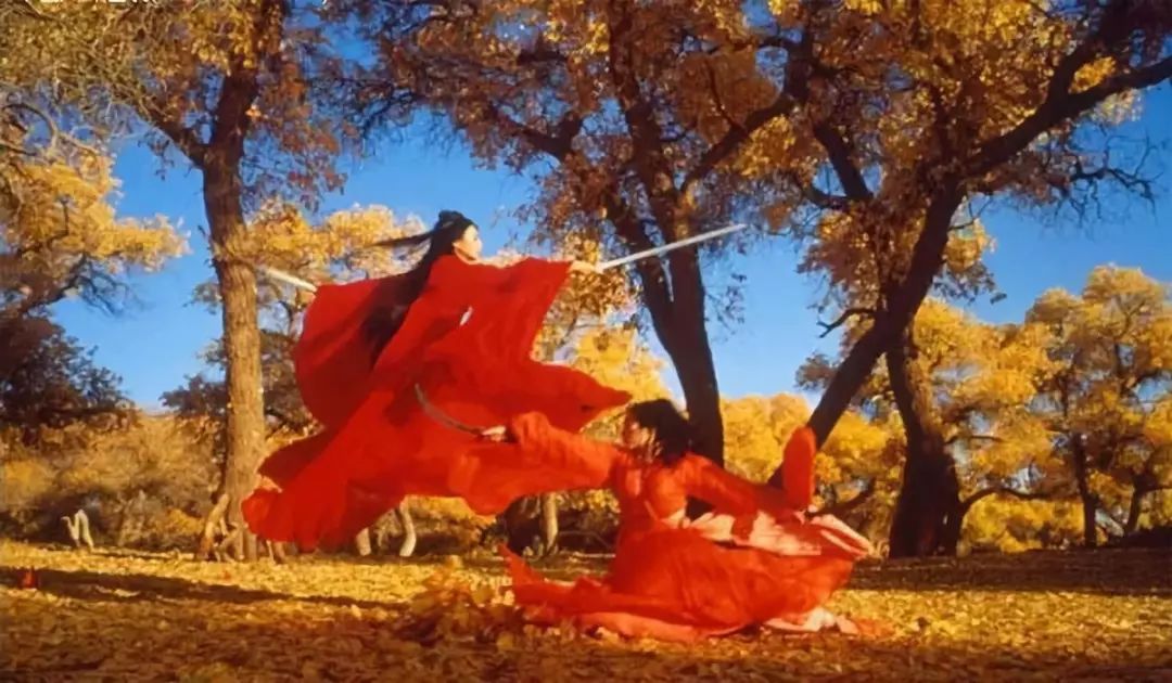 经典电影《英雄》中,张曼玉与章子怡身着红袍,穿梭额济纳胡杨林中的