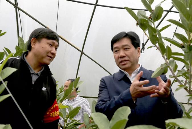 王忠在保华镇调研检查脱贫攻坚和国庆安全维稳工作时强调 坚定打赢打