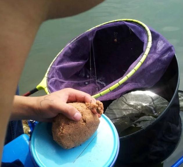 如何选择一款适合自己的拉饵盘