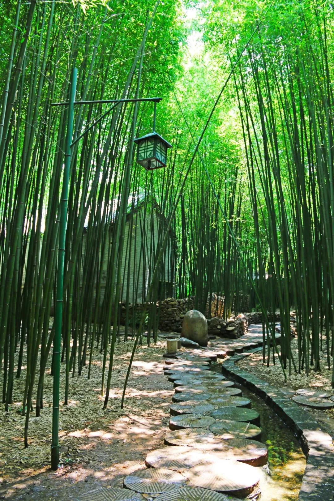 竹泉村农家小院,竹泉村农家小院住宿,竹泉村农家小院价格,农家小院