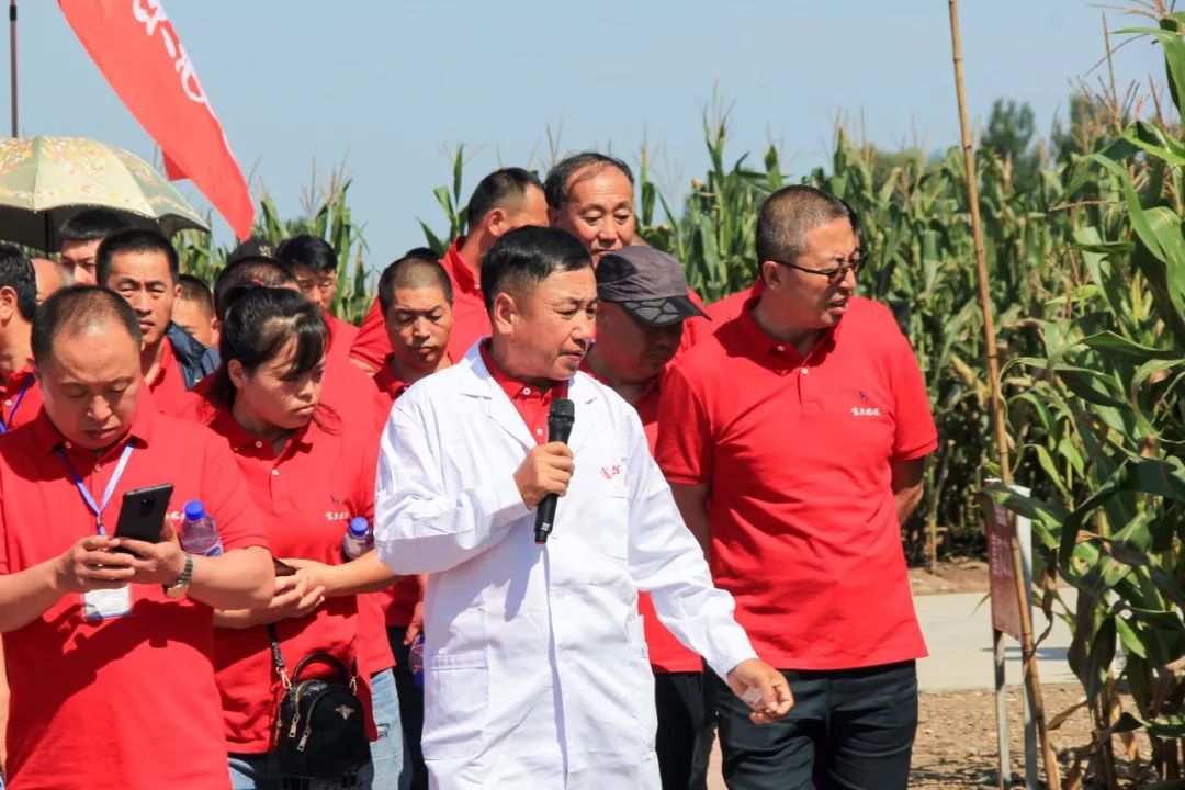 不忘初心继续前行2019年富尔农艺水稻公司营销总结大会暨水稻农化新品