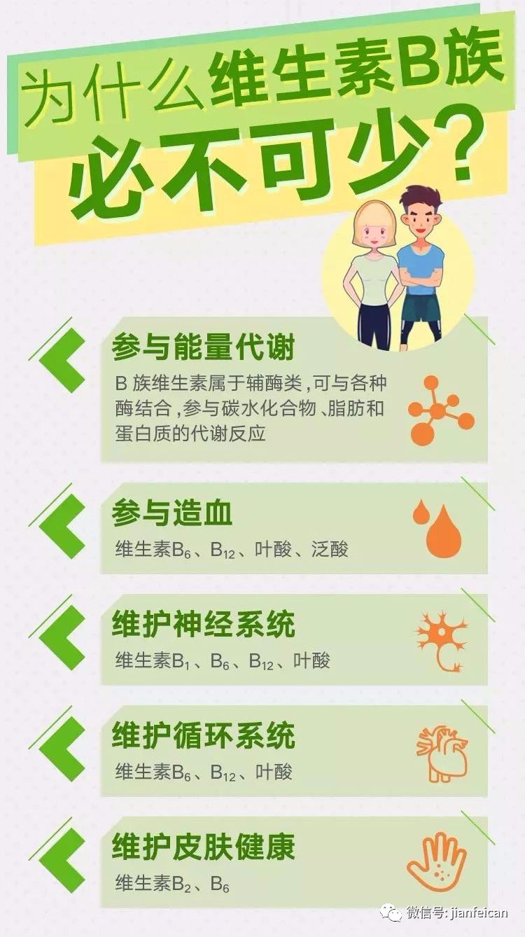 b族维生素和减肥也相关维生素b族的美容减肥功效