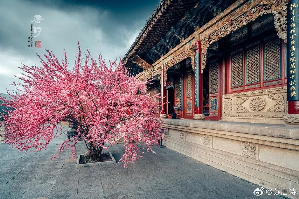 曾经漫不经心走马观花,原来中华大地还有这么多辉煌灿烂的遗产等待