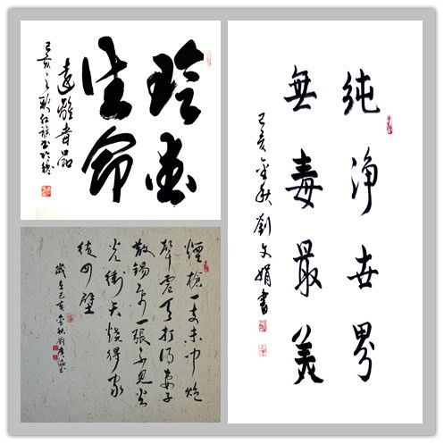 爱国爱民 禁毒先行 --新雅街庆祝新中国成立七十周年暨禁毒书画展作品