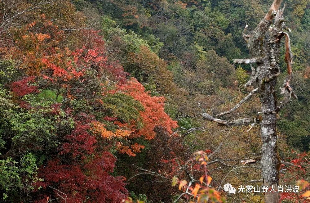 快看火紅香爐山與雲霧繚繞的龍頭山