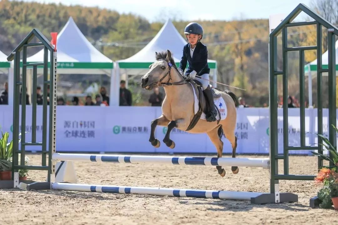 活动是您马术体验的最佳选择陪着孩子体验一把策马奔腾的快感十一到