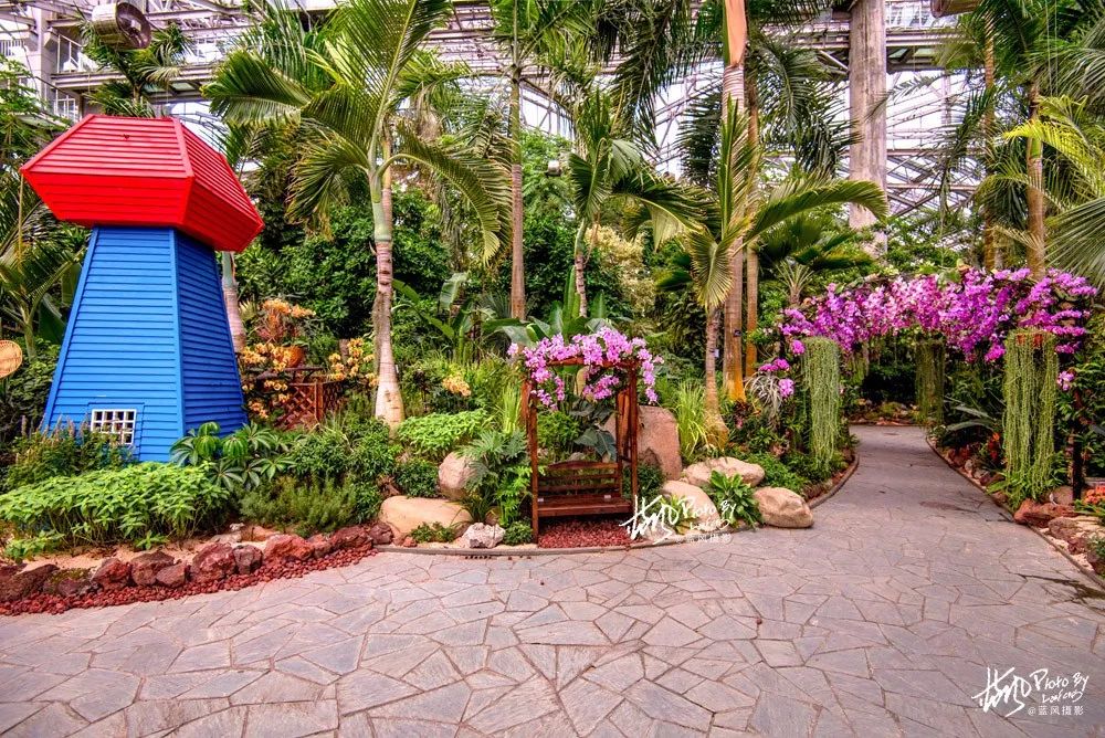 是上海植物园首次以"园艺疗法"为切入点,在温室内尝试打造的芳香花园