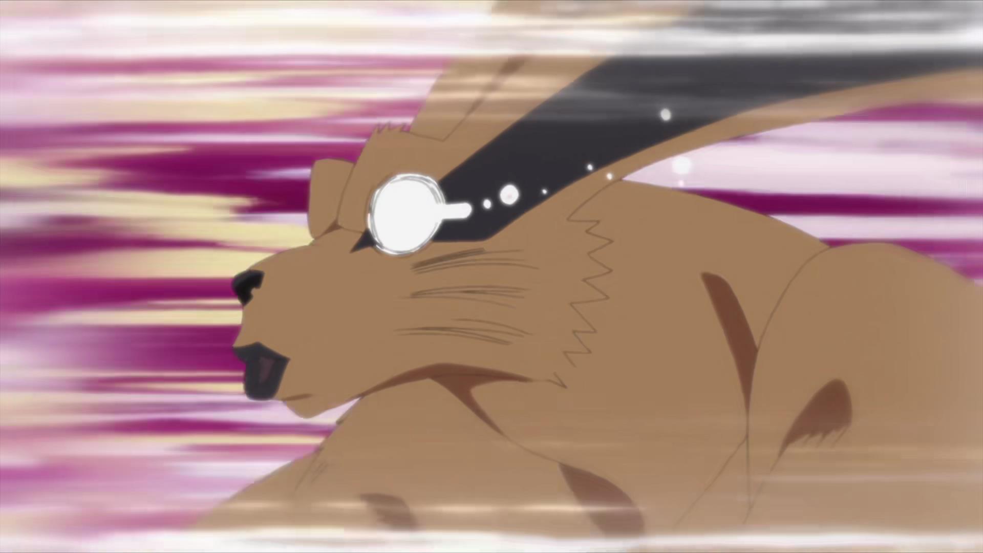 博人传:傲娇的守鹤遇上萌公主向日葵,九喇嘛:我很怕她啊