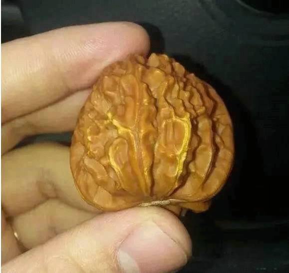 文玩核桃如果涉黄,绝对不能买!