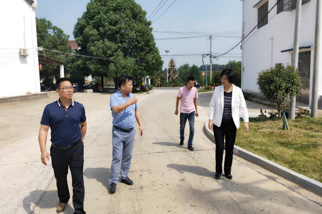 副市长刘艳到杨林市镇调研
