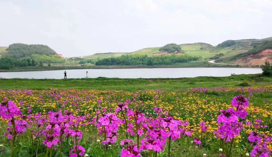 昭通永善首个房车露营地国庆试运营