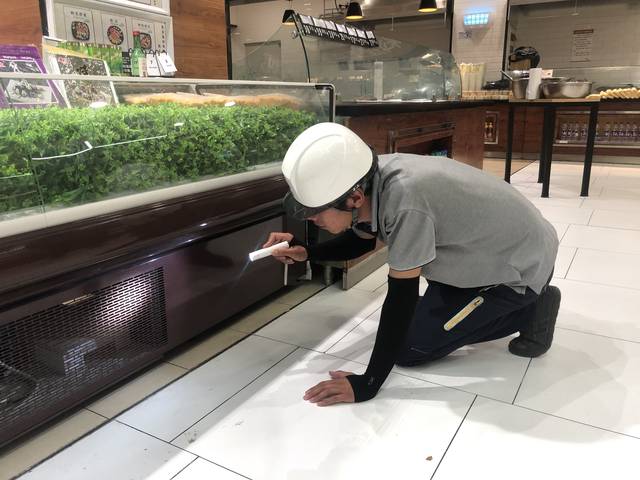 菏泽酒店灭蟑螂专业消杀公司告诉您危害