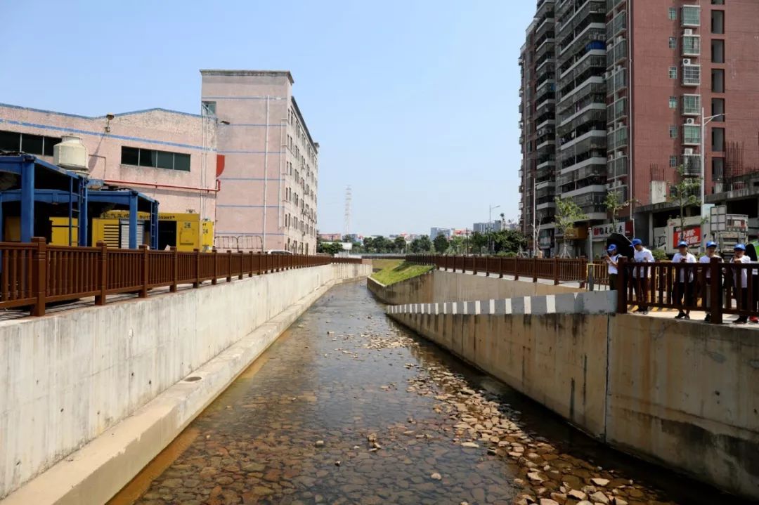 【聚焦】重现水清岸绿景美,图说"光明水"的华丽蜕变!_市民