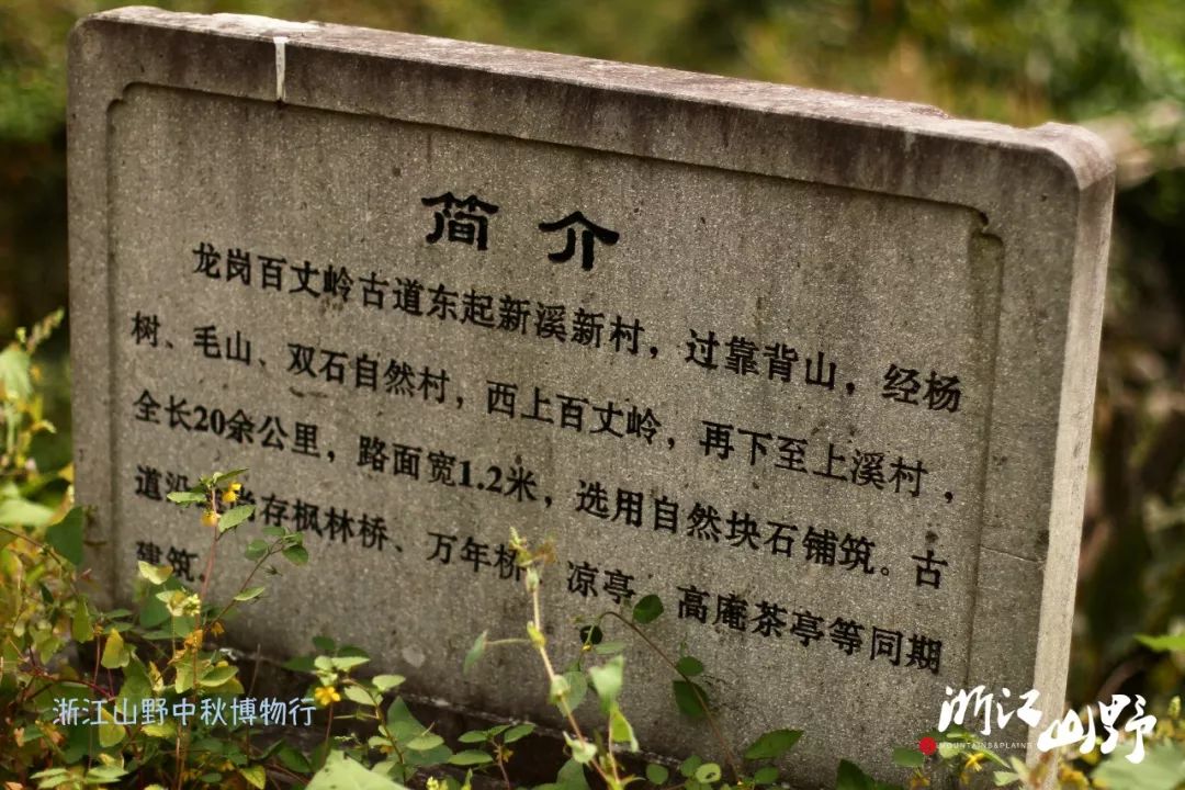 自然故事山中秋已半古道寻花来
