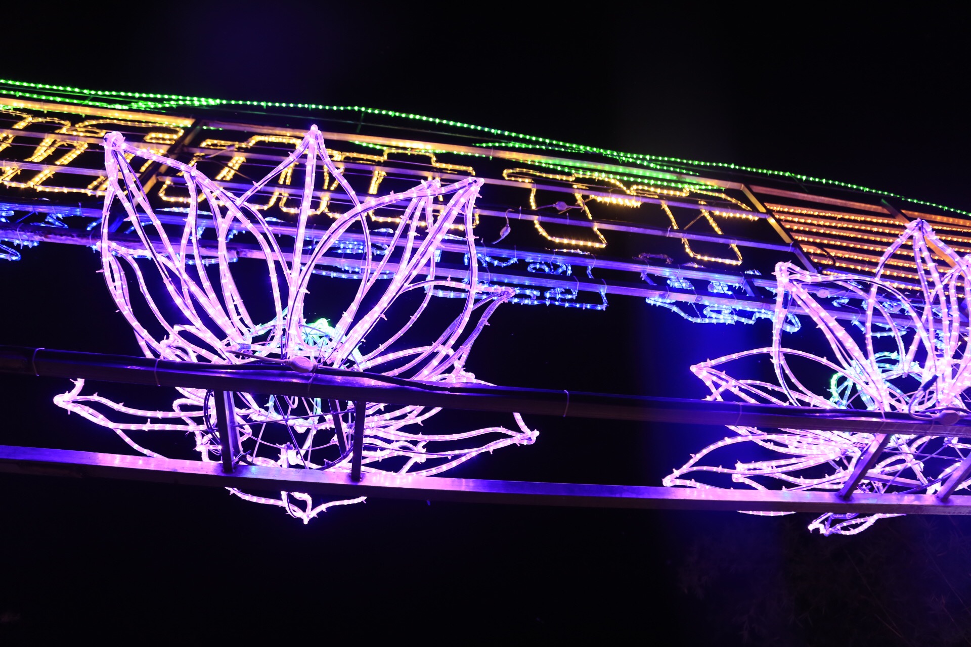 流光溢彩5d魔幻公园光与影的奇妙旅程安吉中国竹博园首次亮相