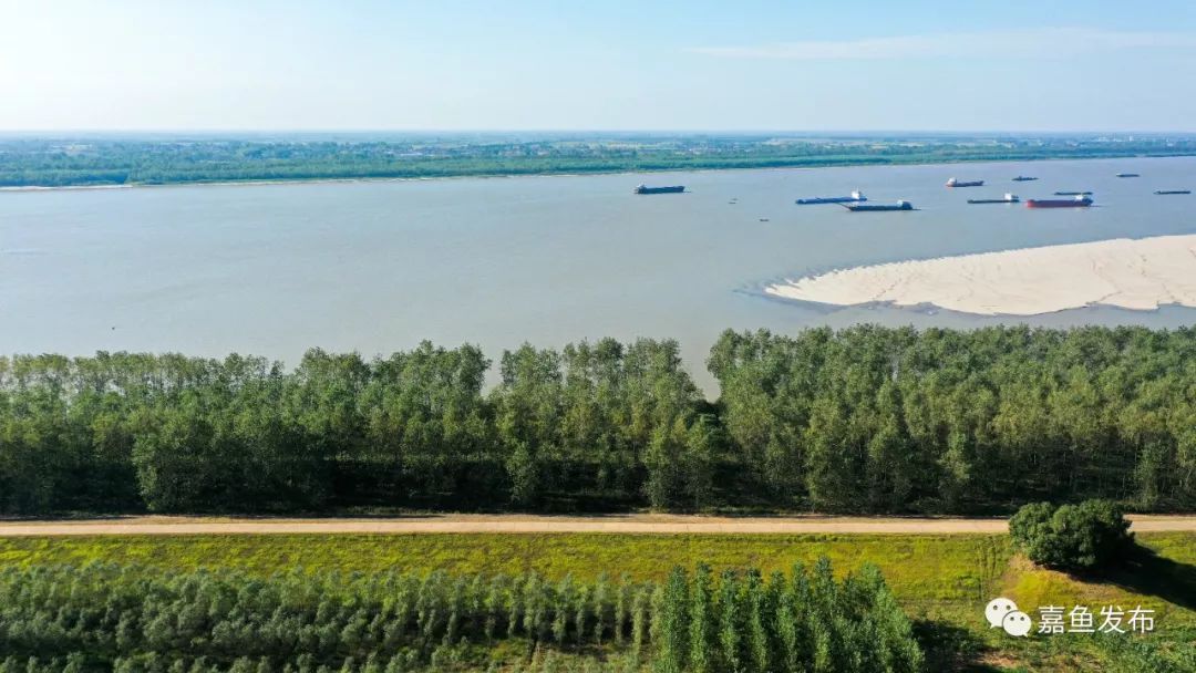 武汉大佬来嘉鱼,得出这样的结论