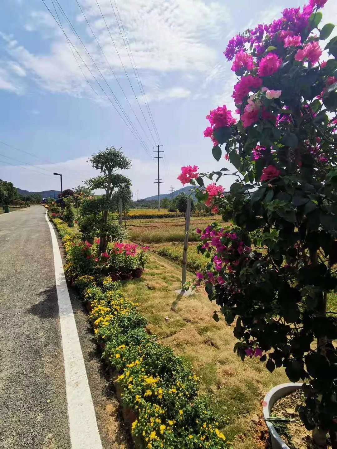 就在10月1日繁昌花溪谷开园芜湖人自驾游多了个好去处