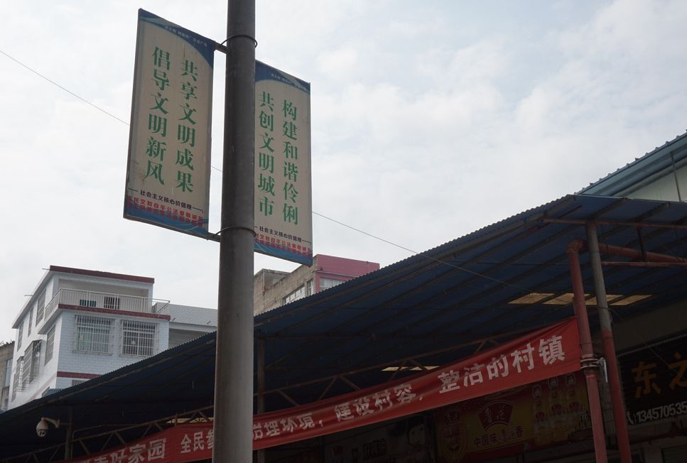 南宁市青秀区区委常委,宣传部部长,政府副区长李永耀在伶俐镇指导乡风