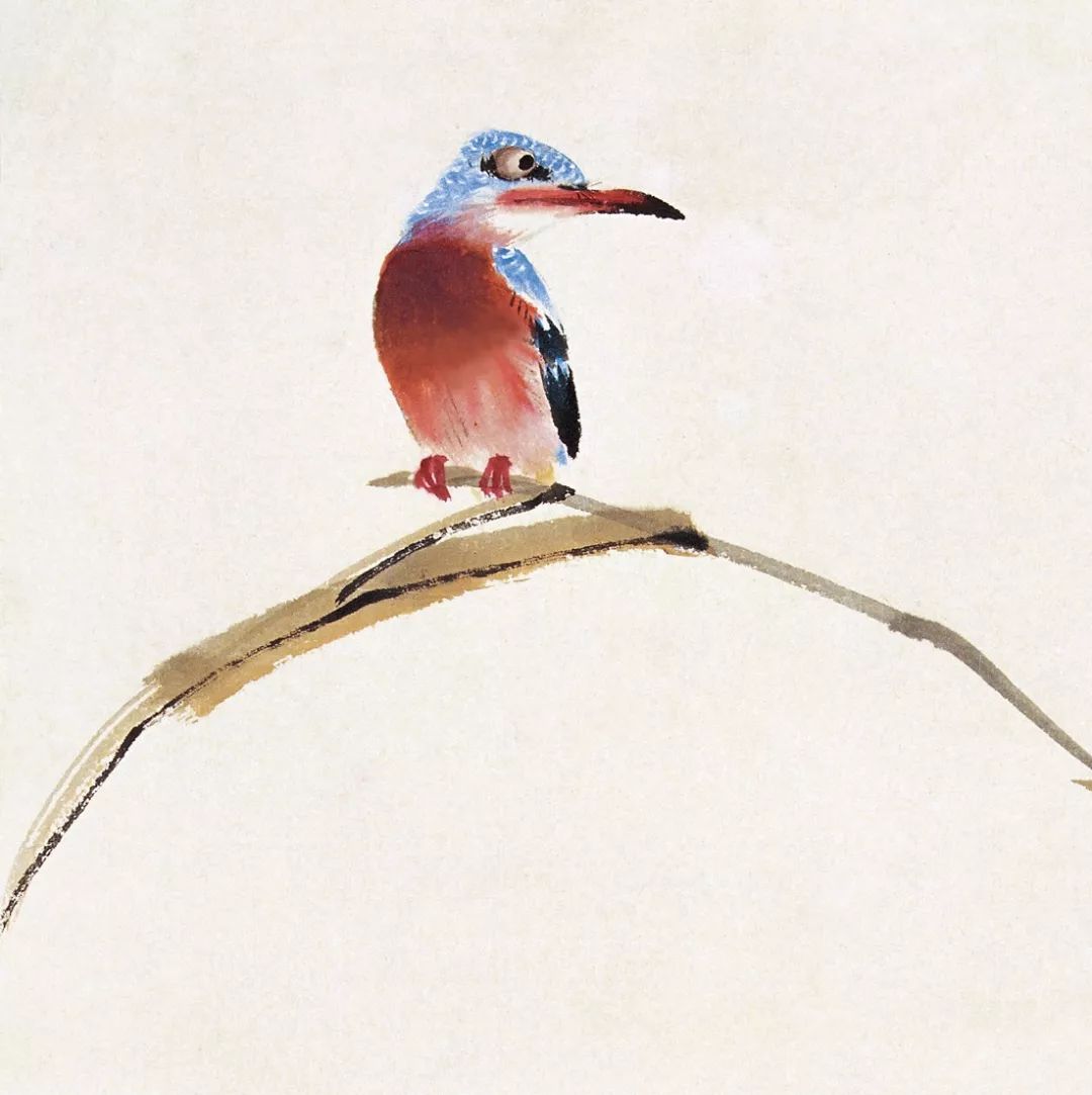 100张禽鸟图美醉了收藏学习