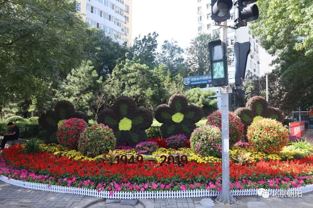 国庆特辑 | 抢先看!朝阳街头花坛图锦