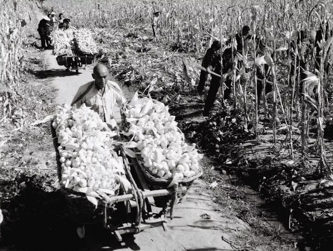 时间深处的影像沂蒙