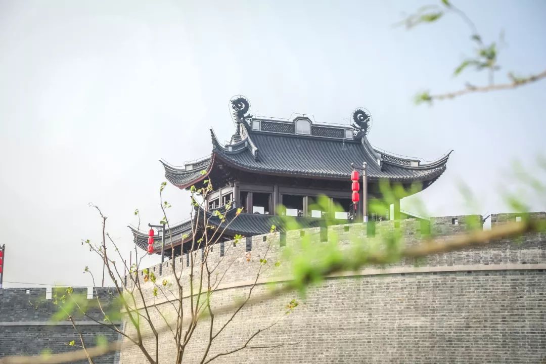 宁波慈城 宁波慈城年糕十大牌子 