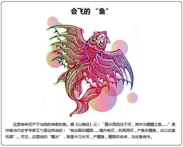 鰼—会飞的鱼"规划是一门学问,城市规划是如此,人生规划更是如此.