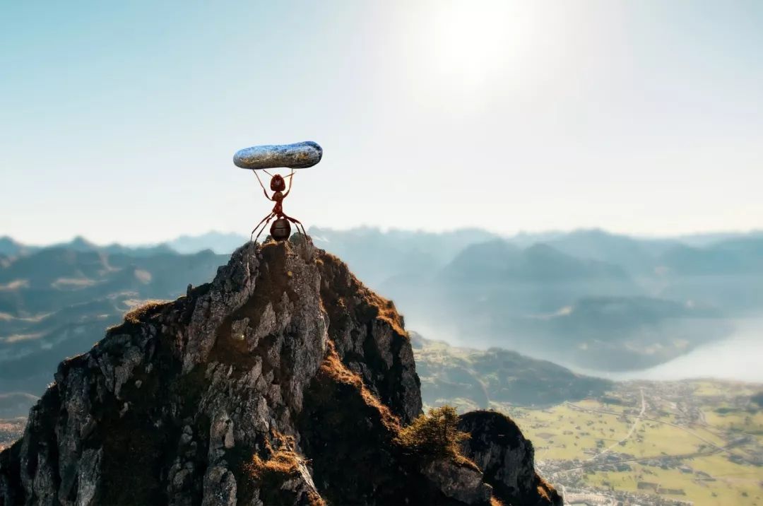 试着从这几点再次抓住人生的重心!