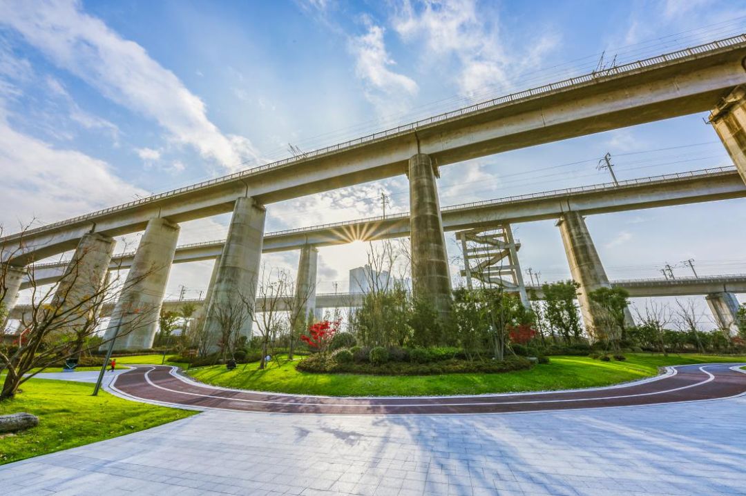 重新了解一根羽毛的发展故事新塘70年巨变