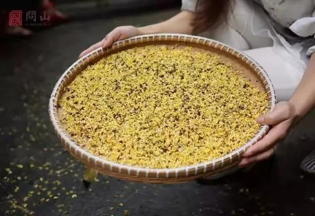 杭州少儿公园国庆三天招募24名"小桂农",淋桂花雨