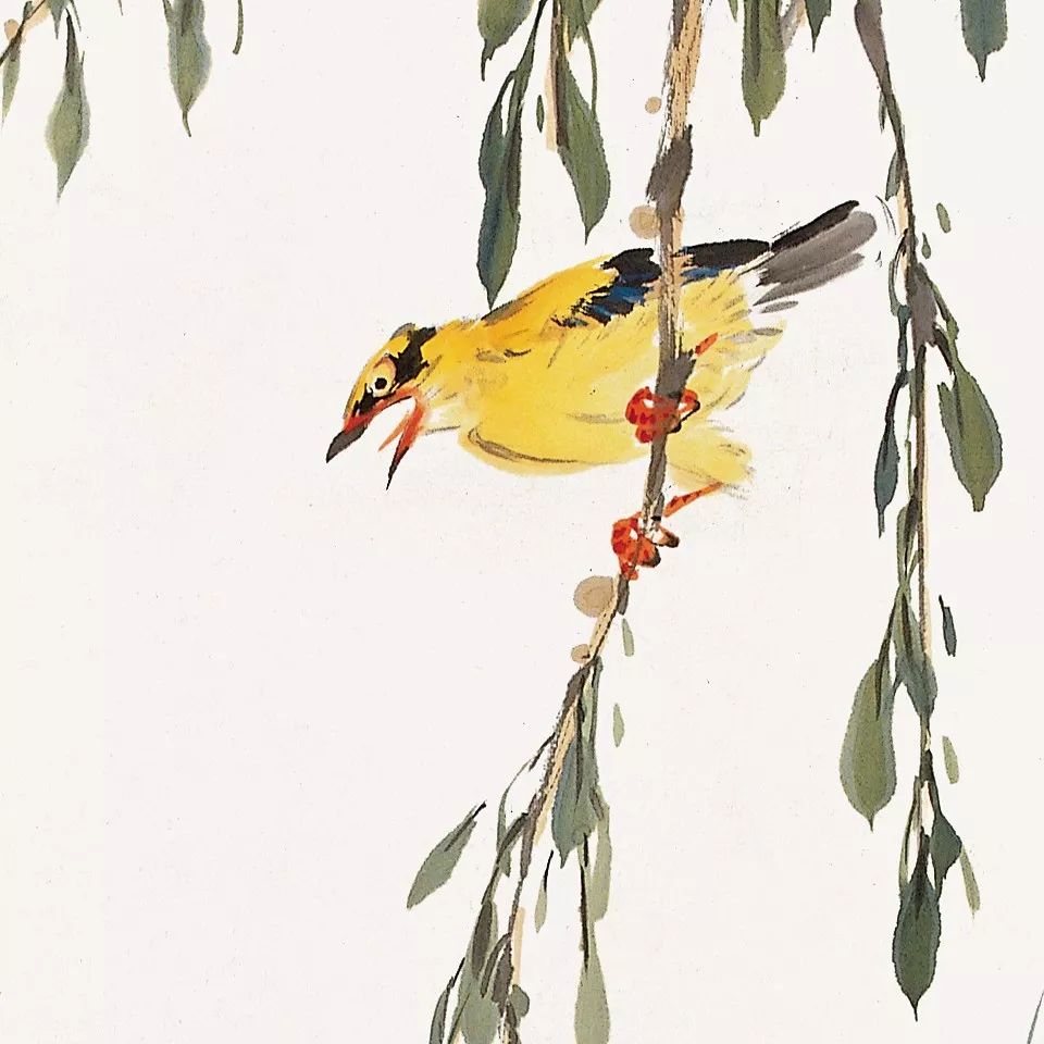 100张禽鸟图美醉了收藏学习