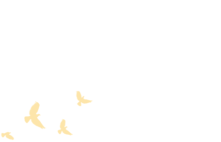 456_293gif 动态图 动图