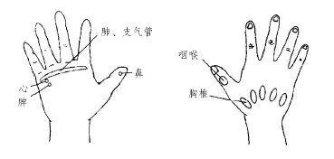 咽喉反射区按摩手法图片