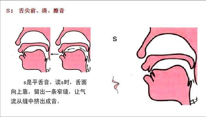 前鼻音后鼻音舌头图解图片