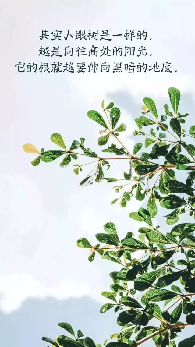 不要动心,不要动,不要动我的_大山谷图库