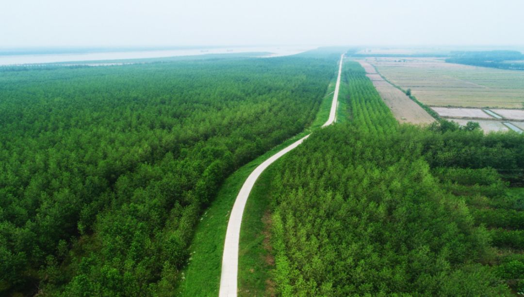 1989年,长江流域防护林体系建设工程启动,已完成了一期工程(1989-2000