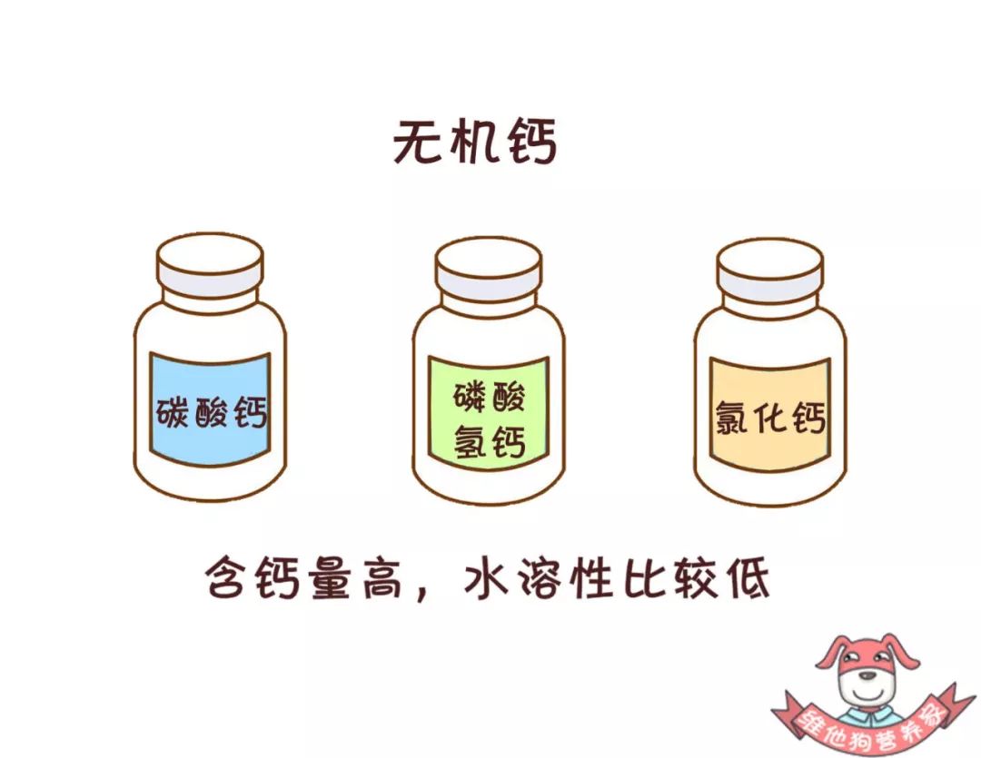 如何补钙最高效这样挑选和服用钙片能让你事半功倍