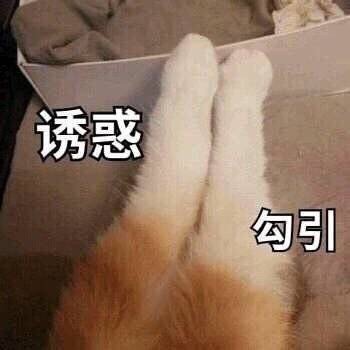 斗图表情包合集|你没睡醒吗,哥们